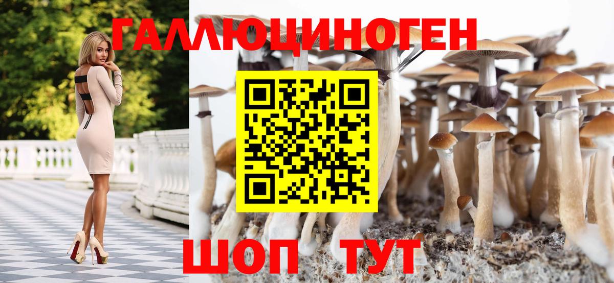 Галлюциногенные грибы MAGIC MUSHROOMS  Вход с VPN  Семилуки  Псилоцибиновые грибы Cubensis 